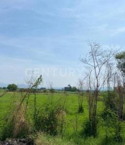 Parcela ,, Jojutla, 모렐로스 62919, 멕시코