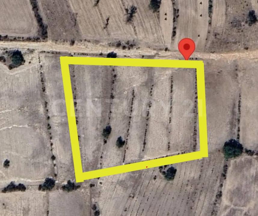 OTUMBA-TIZAYUCA 0,, Temascalapa, 墨西哥州 55980, 墨西哥