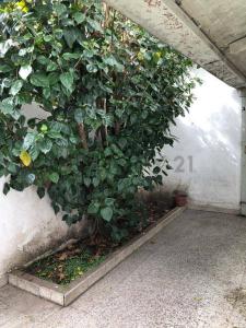 9 entre 63 y 64 1524, La Plata, GBA Sur 1900, Аргентина