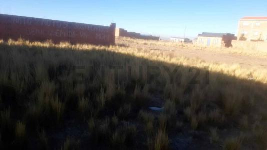 Tranca de Corapata, Urbanización 24 de Junio, Lote 13,Manzano E s/n, El Alto, La Paz 00001, Bolivia