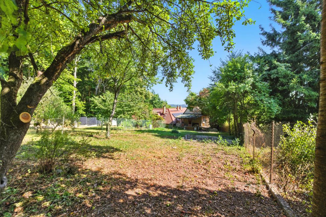 Černokostelecká, Černé Voděrady, Praha-východ 28163, Czech Republic