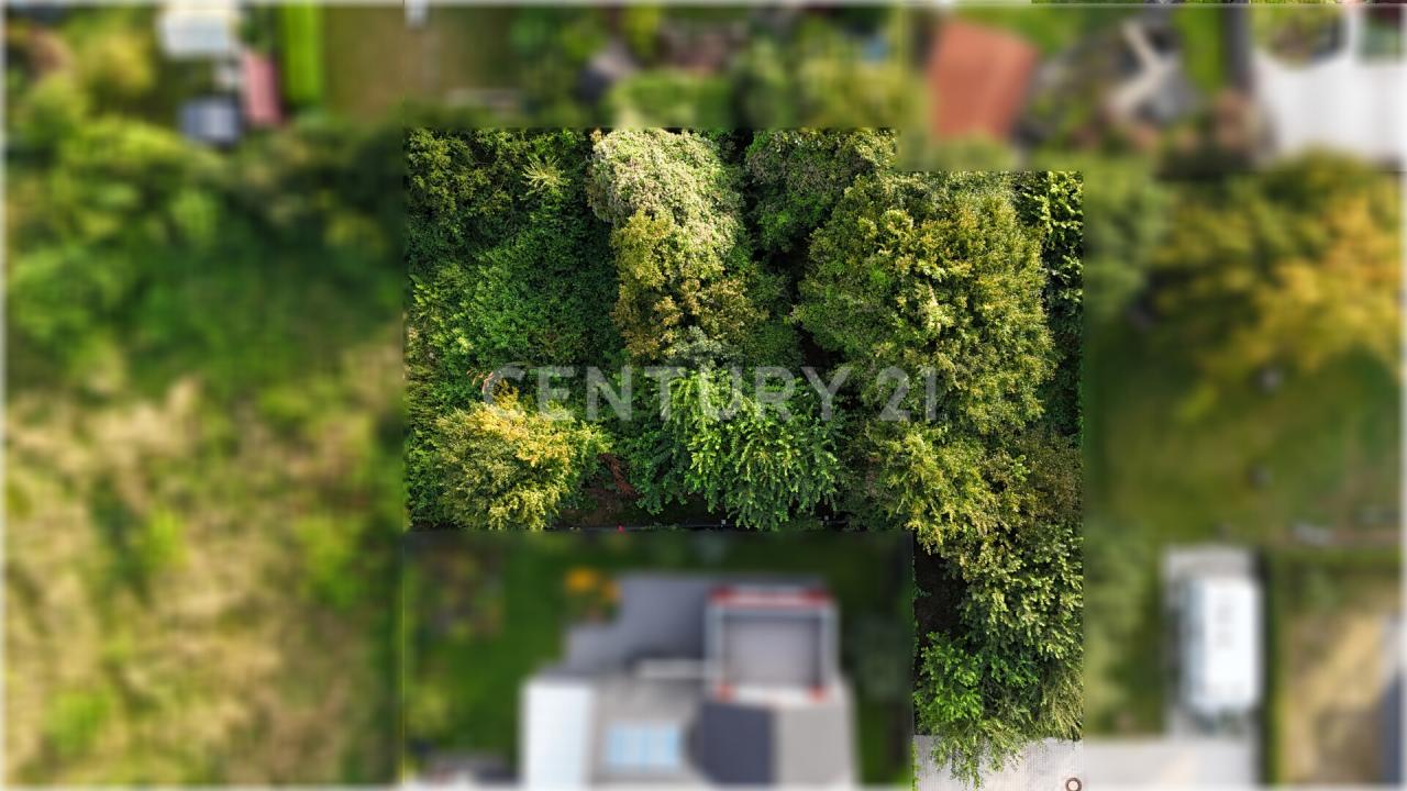 Schüttorf, Niedersachsen 48465, 德国