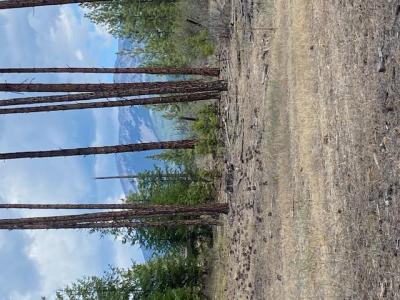 NHN High Country Road, Plains, Montana 59859, USA