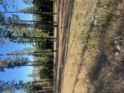 NHN High Country Road, Plains, Montana 59859