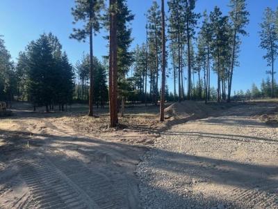 NHN High Country Road, Plains, Montana 59859