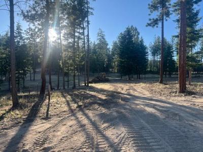 NHN High Country Road, Plains, Montana 59859