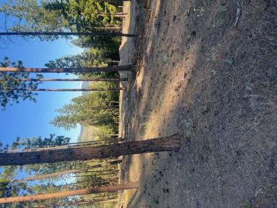 NHN High Country Road, Plains, Montana 59859