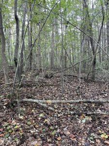 2865 Silk Hope Gum Springs Road, Pittsboro, Karolina Północna 27312, USA