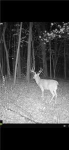 Xx3 County Road 3, Holdingford, Minnesota 56340, États-Unis