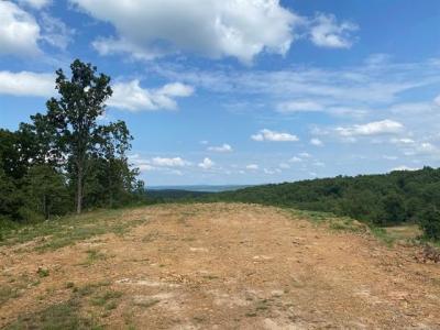 36130 S Magnolia Lane, Park Hill, Oklahoma 74451, États-Unis