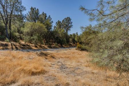 Brandy Lane, Burson, 加利福尼亚州 95225, 美国