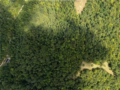 0 Rocky Knob, Gay, Batı Virginia 25244, Amerika Birleşik Devletleri