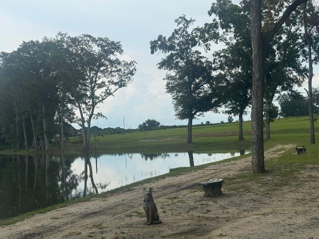 000 Highway 103, Slocomb, Alabama 36375, Stati Uniti