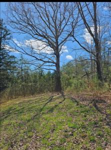 9999 S. Hwy 127, Dunnville, Kentucky 42528, USA