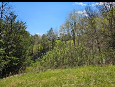 9999 S. Hwy 127, Dunnville, 肯塔基州 42528, 美国