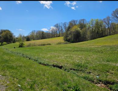 9999 S. Hwy 127, Dunnville, 肯塔基州 42528, 美国