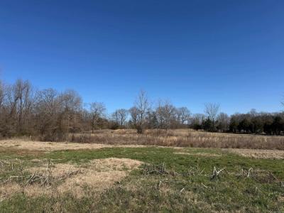 4044 Hwy 36 W, Center Hill, Arkansas 72143, Stati Uniti