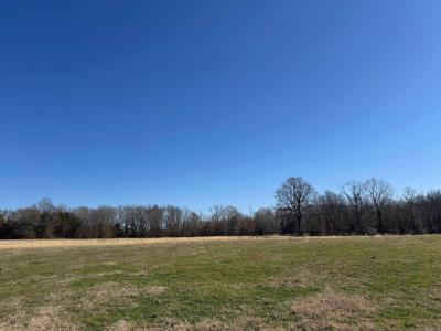 4044 Hwy 36 W, Center Hill, Arkansas 72143, Stati Uniti