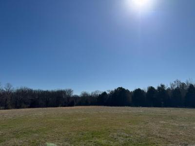 4044 Hwy 36 W, Center Hill, Arkansas 72143, Stati Uniti