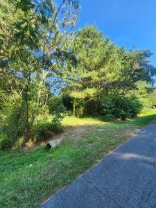 14 Truitt Rd, Chesapeake, Virginia 23321