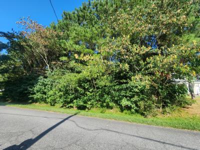 13 Truitt Rd, Chesapeake, Virginia 23321, Amerika Birleşik Devletleri