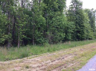 11530 N 28TH Street, Mt Vernon, Illinois 62864