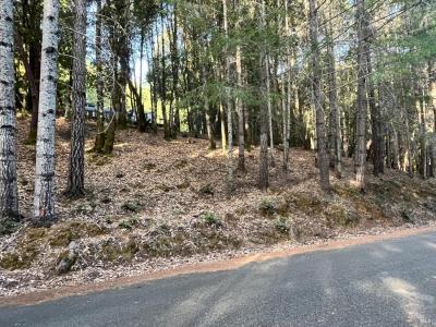 24250 Buckeye Lane, Willits, California 95490, Stati Uniti