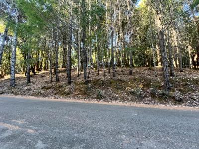 24250 Buckeye Lane, Willits, California 95490, Stati Uniti