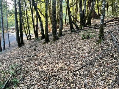 24250 Buckeye Lane, Willits, California 95490, Stati Uniti