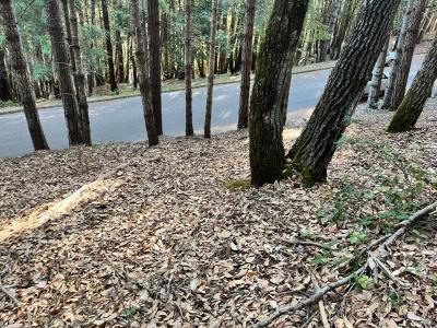 24250 Buckeye Lane, Willits, California 95490, Stati Uniti