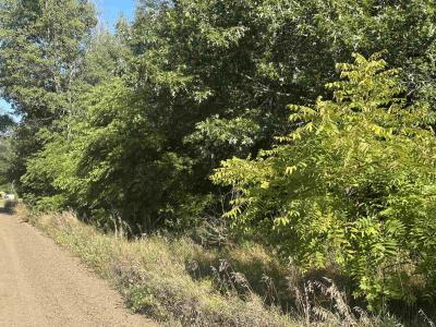 Lot 26-30 Willow, Lac, Michigan 48632, États-Unis