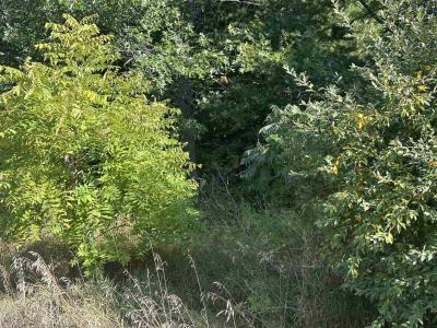 Lot 26-30 Willow, 湖泊, 密西根州 48632, 美國