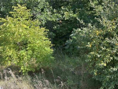 Lots 26-30 Willow Street, Lake, Michigan 48632