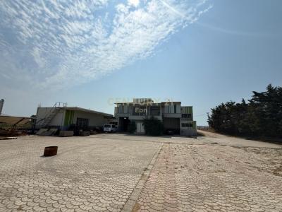 Kavajë, Kavajë, Albania