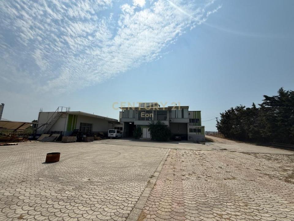 Kavajë, Kavajë, Albania