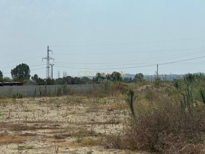 Kavajë, Kavajë, Albania