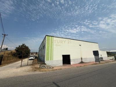 Kavajë, Kavajë, Albania