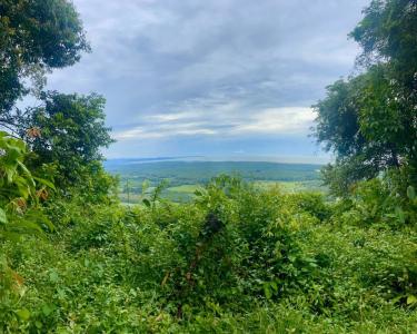 Tres Ríos Puerto Cortés Osa, Puntarenas 00001, Costa Rica