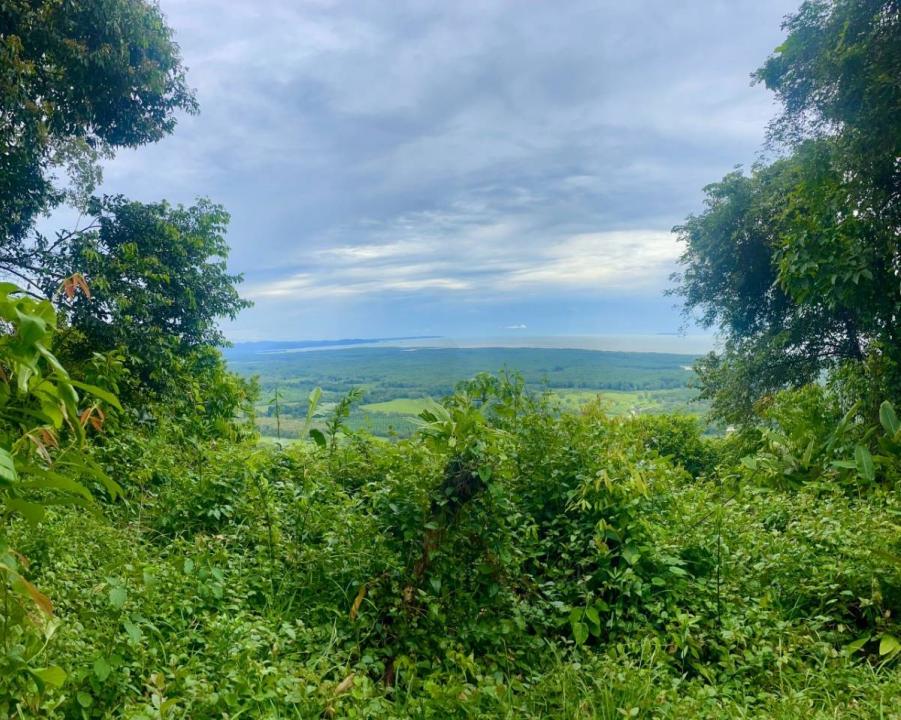 Tres Ríos Puerto Cortés Osa, Puntarenas 00001, Costa Rica