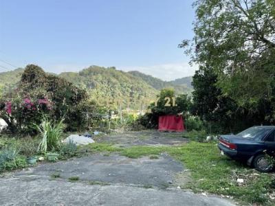 北港溪段, Guoxing Township, Nantou County 544, Taiwan