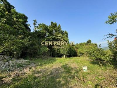 北港溪段, Guoxing Township, Nantou County 544, 台湾