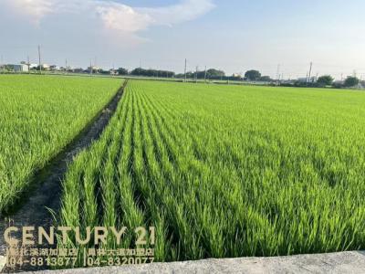 竹塘段, Zhutang Township, Changhua County 525, 대만