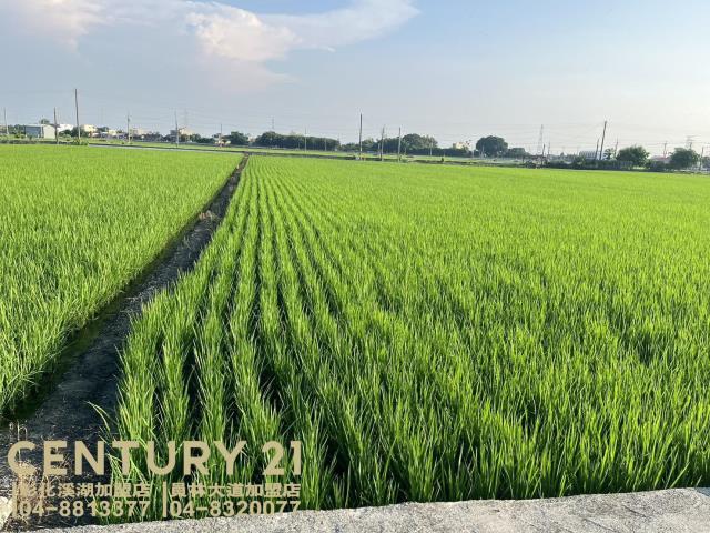 竹塘段, Zhutang Township, Changhua County 525, 台湾