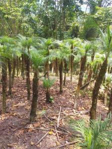 Zipacon, Cundinamarca 11010, Colombia
