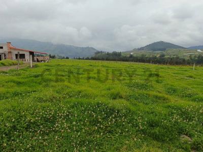 Urbanización Ulpan 080, Chambo, Chimborazo 00001, 厄瓜多尔