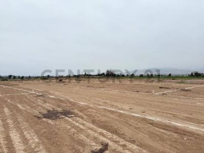 Aucallama , Huaral, Lima 00001, Peru