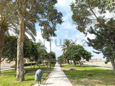 Alameda Lima Sur, Primera Etapa , Cañete, Lima 00001, 페루