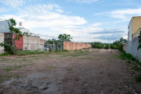 Calle La Paz s/n,, Chapala, Jalisco 45915, Mexico