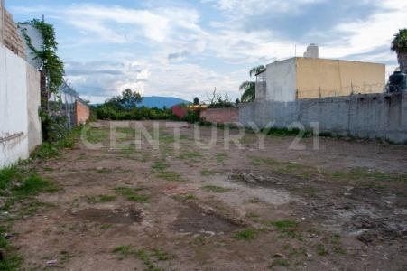 Calle La Paz s/n,, Chapala, Jalisco 45915, Mexico