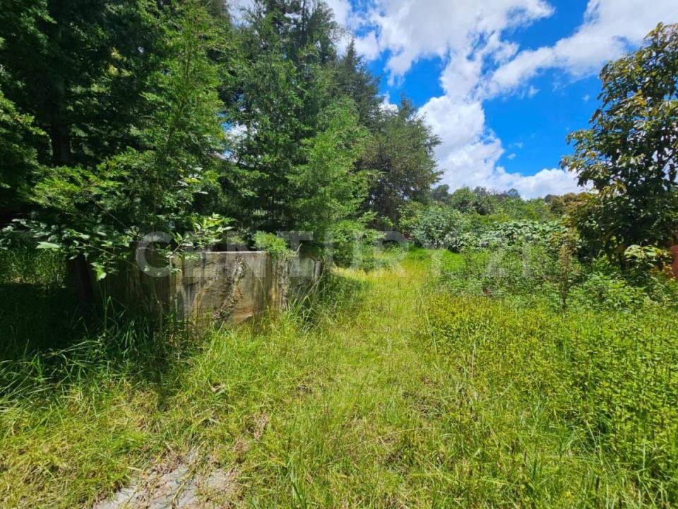 Jazmin 7,, San Cristóbal De Las Casas, Chiapas 29230, Meksika